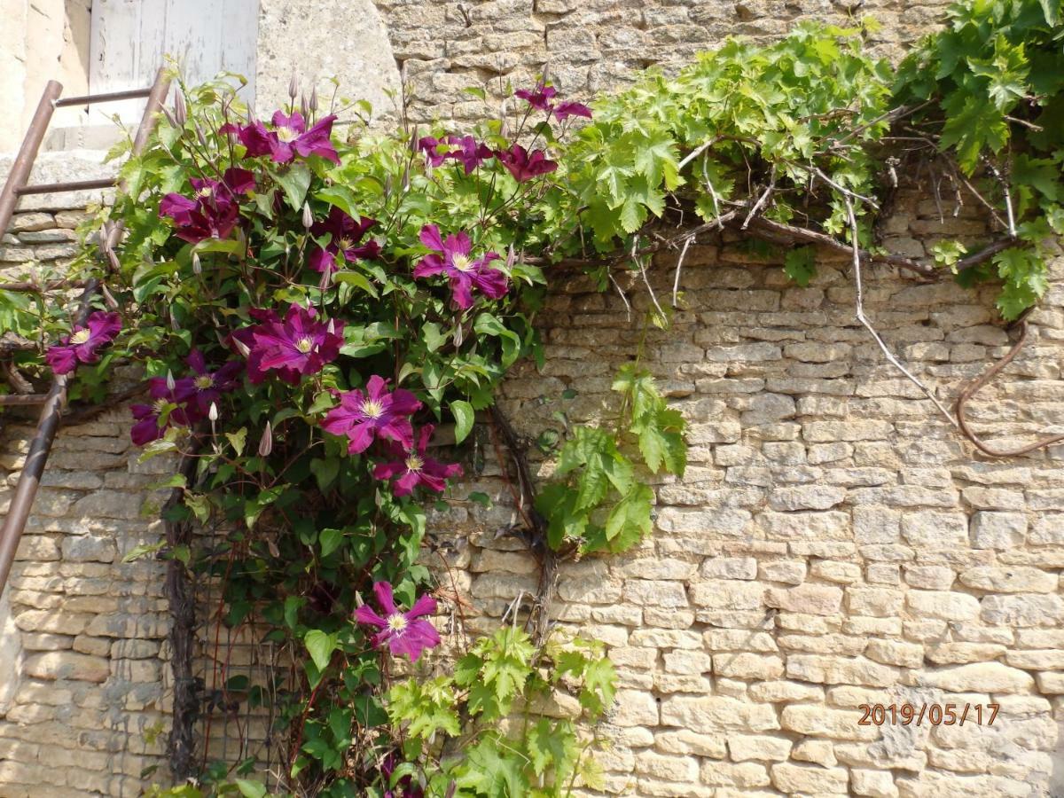 مبيت وإفطار Jort Safraniere De La Venelle Du Moulin المظهر الخارجي الصورة